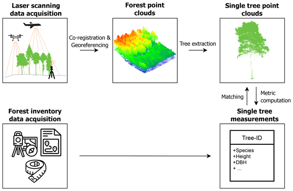 Point Cloud Generation Icon
